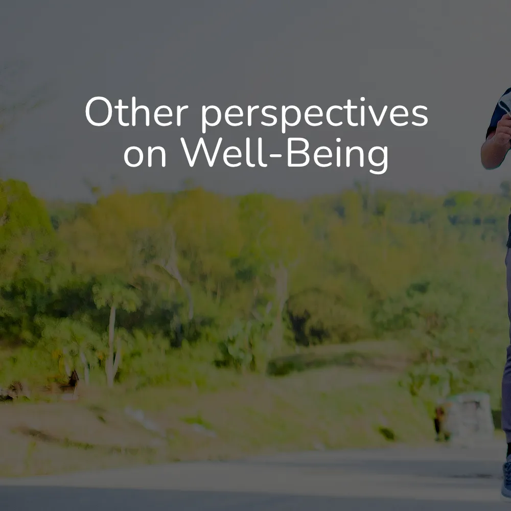 Other perspectives on Well-Being